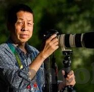 麻豆视频app下载无限-数字娱乐的边界与探索——关于麻豆视频app解密