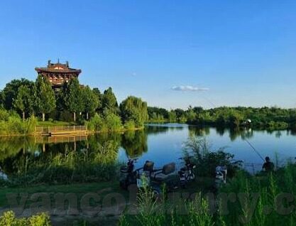 麻豆视频老师-麻豆视频，网络教学的新风向与挑战