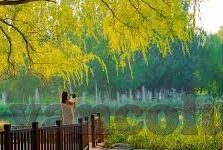 麻豆视频下载ios-探秘麻豆App，iOS视频下载与体验